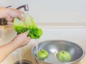 Preparation Rinsing fruits tips