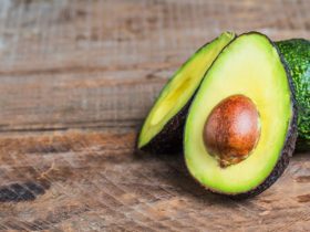Avocado